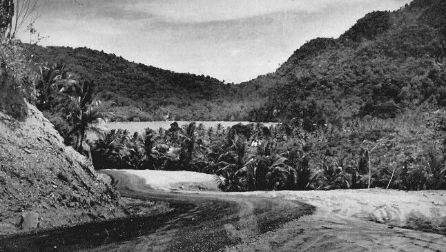 Maracas